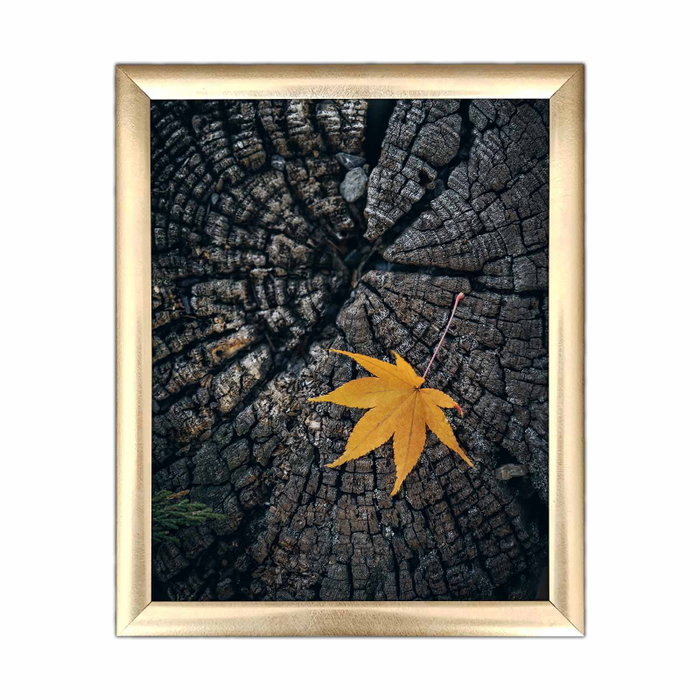 Wallity Cuadro Decorativo ACT-003 Multicolor